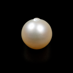 South Sea Pearl(Moti)- 13.85 Carat