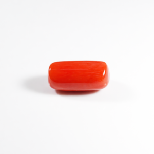 Natural Moonga Stone 14.06 Ct | Certified Red Coral