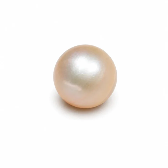 South Sea Pearl(Moti)- 11.55 Carat