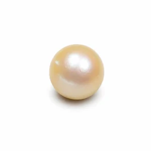 South Sea Pearl(Moti)- 12.50 Carat