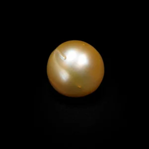 South Sea Pearl(Moti)- 11.95 Carat