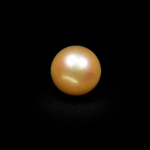 South Sea Pearl(Moti)- 16.55 Carat