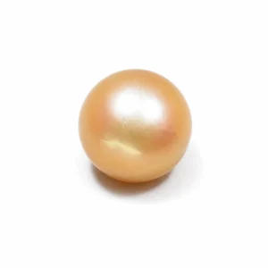 South Sea Pearl(Moti)- 16.55 Carat