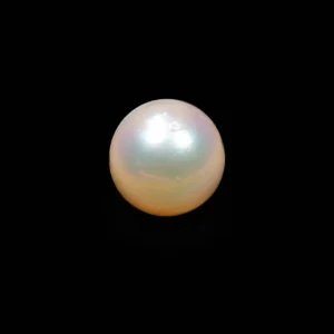 South Sea Pearl(Moti)- 12.70 Carat
