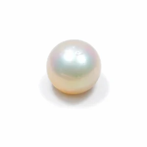 South Sea Pearl(Moti)- 12.70 Carat