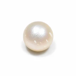 South Sea Pearl(Moti)- 13.50 Carat