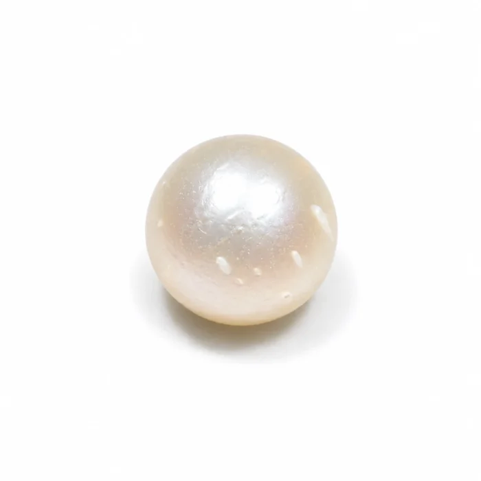South Sea Pearl(Moti)- 13.50 Carat