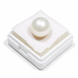 South Sea Pearl(Moti)- 13.35 Carat