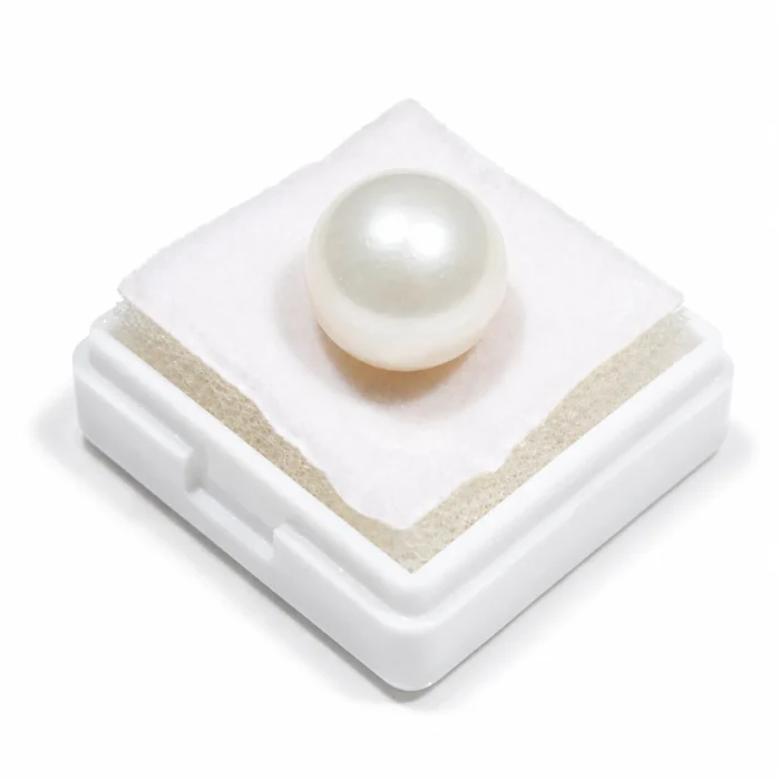 South Sea Pearl(Moti)- 13.35 Carat