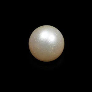 South Sea Pearl(Moti)- 12.05 Carat