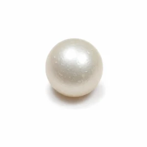 South Sea Pearl(Moti)- 12.05 Carat