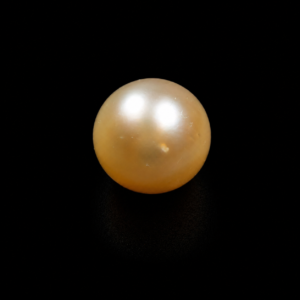 South Sea Pearl(Moti)- 14.75 Carat