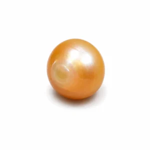 South Sea Pearl(Moti)- 12.05 Carat