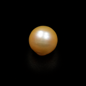 South Sea Pearl(Moti)- 15.60 Carat