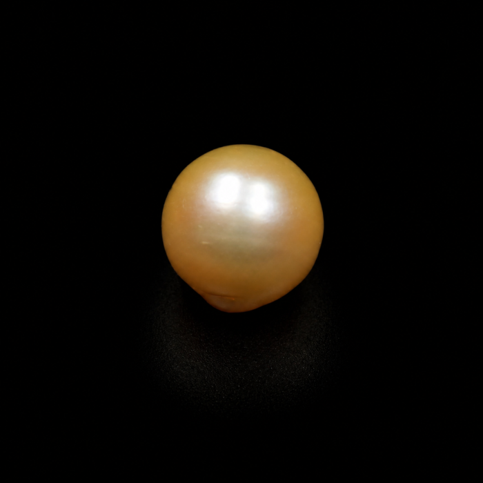 South Sea Pearl(Moti)- 15.60 Carat