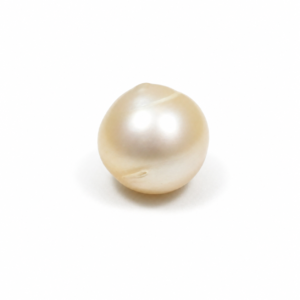 South Sea Pearl(Moti)- 16.55 Carat