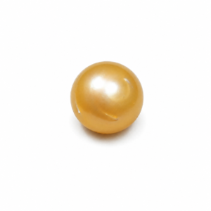 South Sea Pearl(Moti)- 14.30 Carat