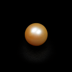 South Sea Pearl(Moti)- 17.65 Carat