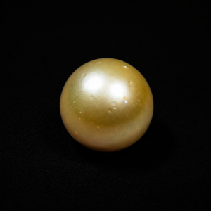 South Sea Pearl(Moti)- 18.70 Carat