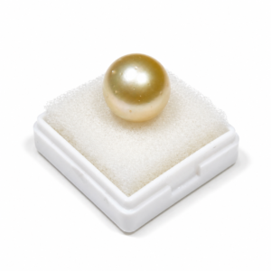 South Sea Pearl(Moti)- 18.70 Carat