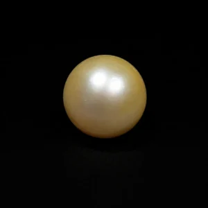 South Sea Pearl(Moti)- 17.15 Carat