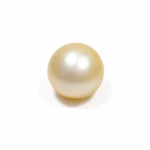 South Sea Pearl(Moti)- 17.15 Carat