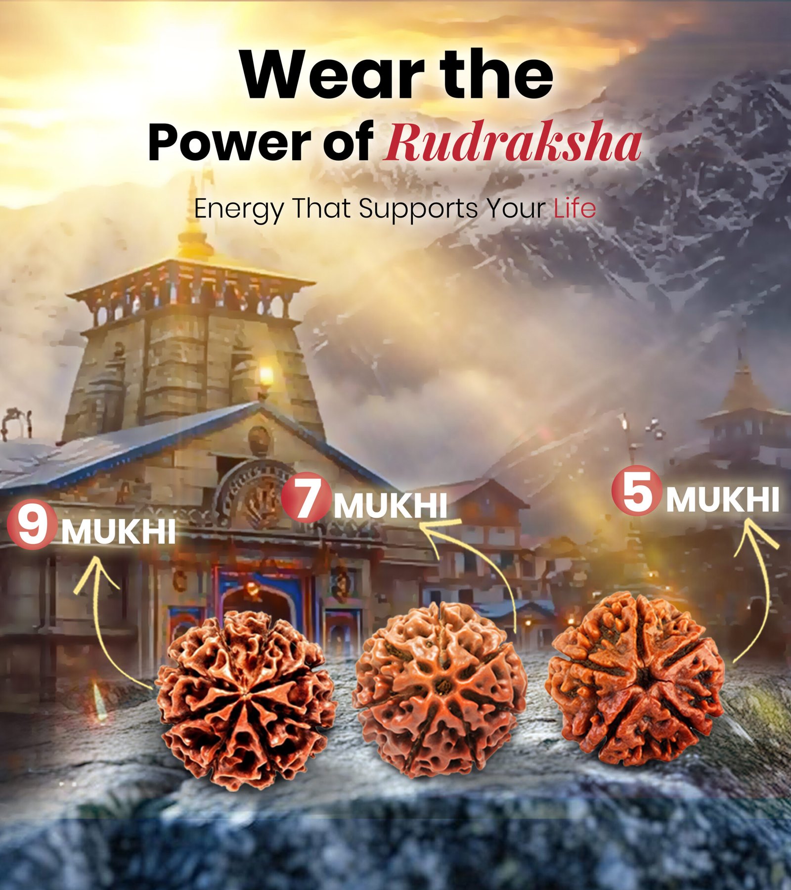 natural gemstone in India original rudraksha 1-9 mukhi buy online