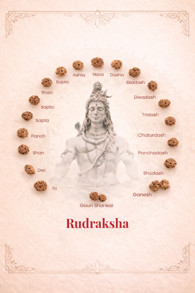 natural gemstone in India all mukhi rudraksha gauri shankar Lord Shiva online