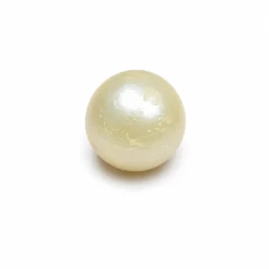 South Sea Pearl(Moti)- 10.30 Carat