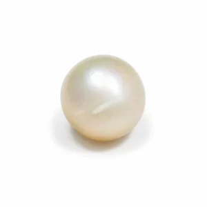 South Sea Pearl(Moti)- 11.20 Carat