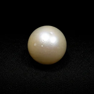 South Sea Pearl(Moti)- 12.55 Carat