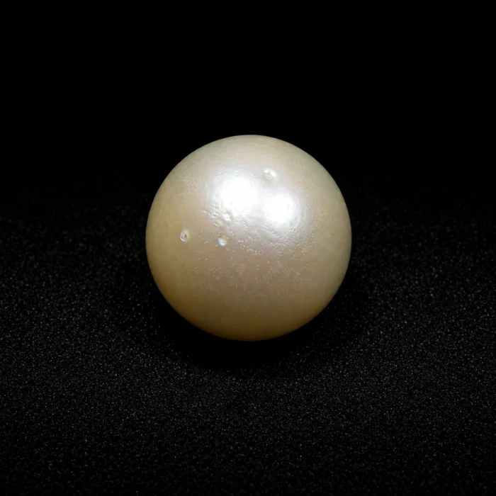 South Sea Pearl(Moti)- 12.55 Carat