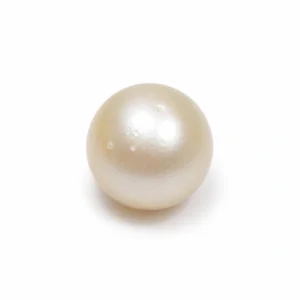 South Sea Pearl(Moti)- 12.55 Carat