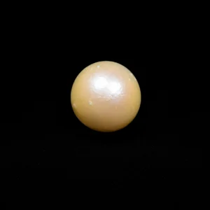 South Sea Pearl(Moti)- 9.90 Carat