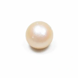 South Sea Pearl(Moti)- 9.90 Carat