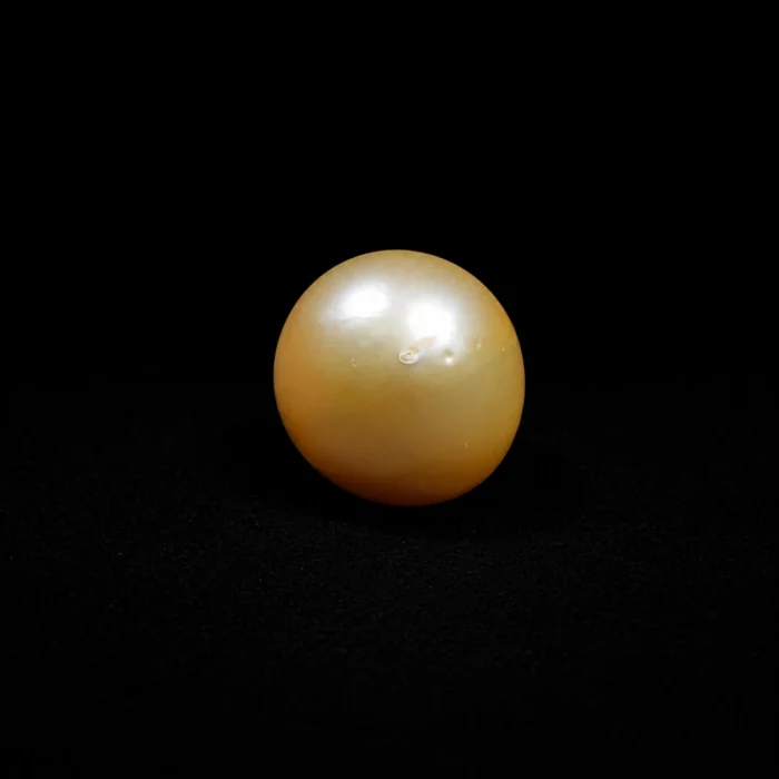 South Sea Pearl(Moti)- 12.01 Carat