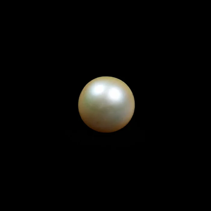 Natural South Sea Pearl(Moti)- 11.92 Carat