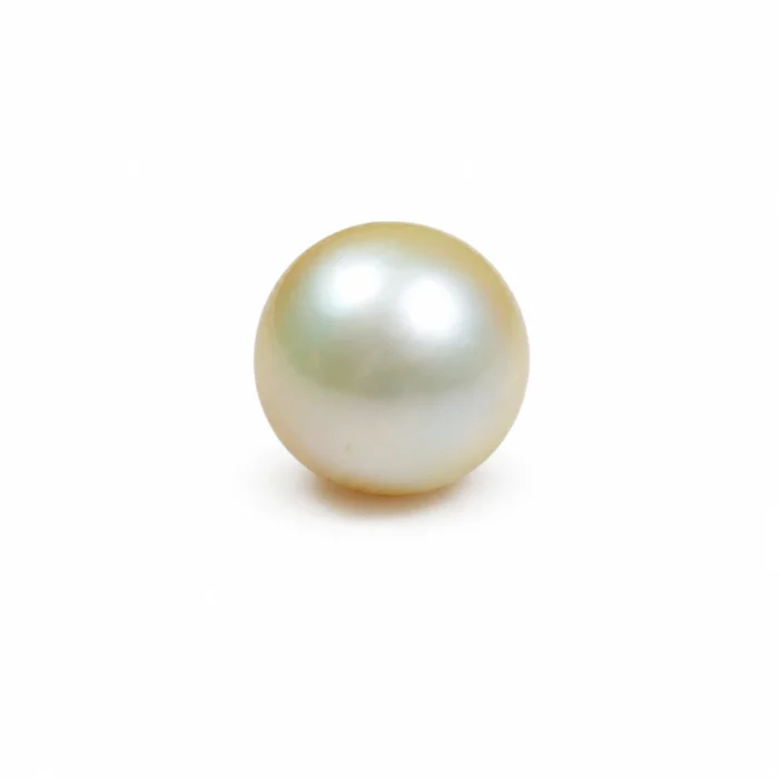 Natural South Sea Pearl(Moti)- 11.92 Carat