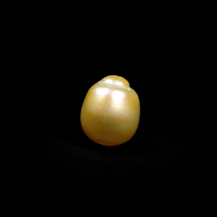 Natural South Sea Pearl (Moti) – 12.55 Carat
