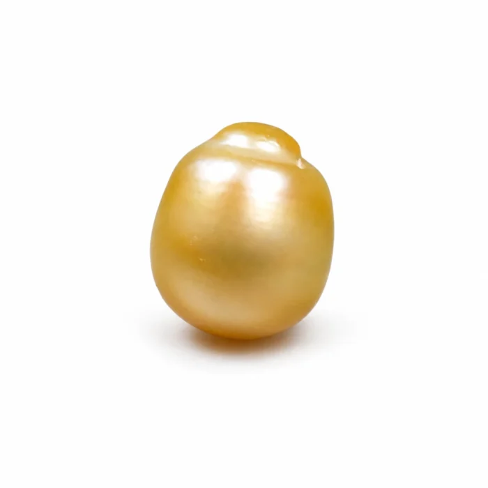 Natural South Sea Pearl (Moti) – 12.55 Carat