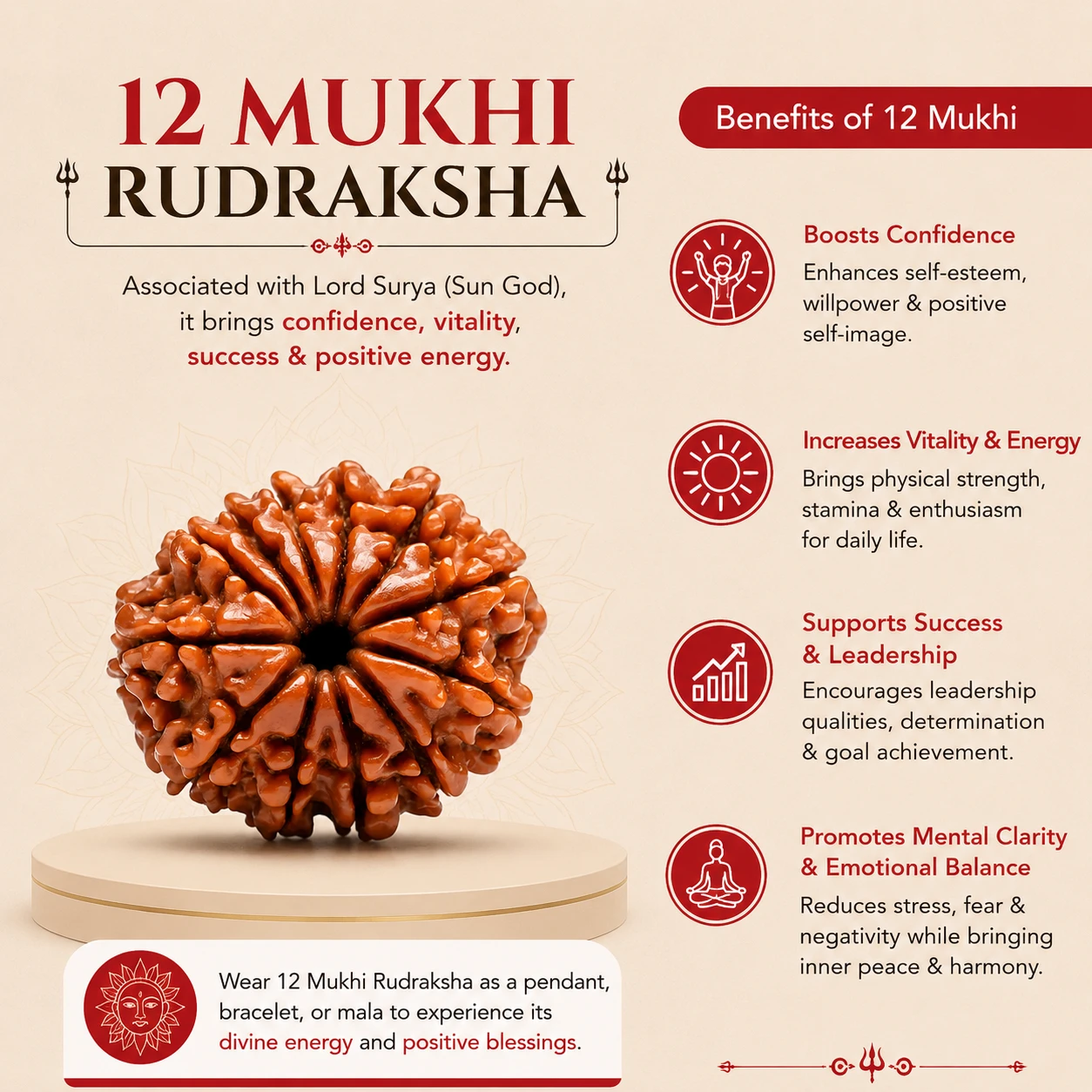 Natural 12 Mukhi Nepali Rudraksha | Authentic Beads - Image 4