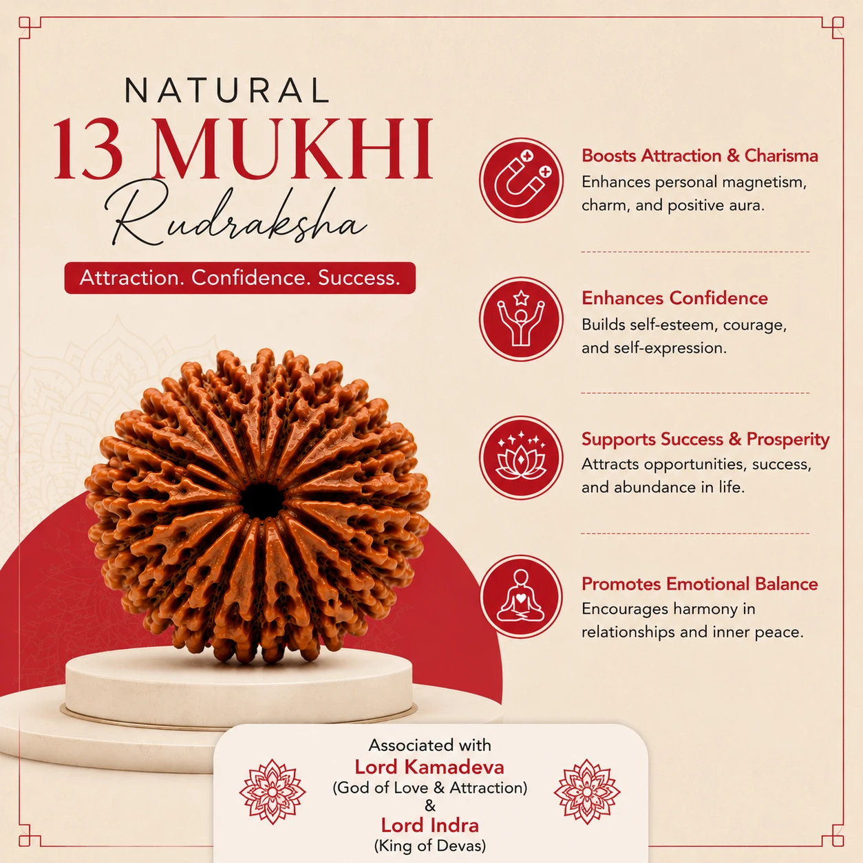 Natural 13 Mukhi Rudraksha benefits