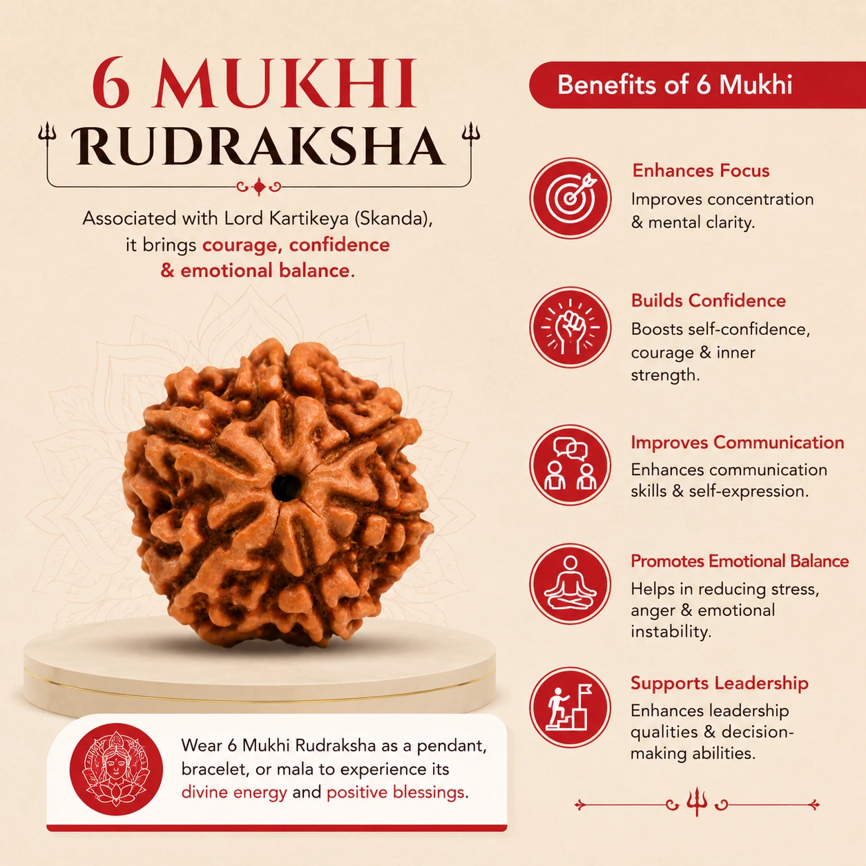 6 Mukhi Rudraksha benefits