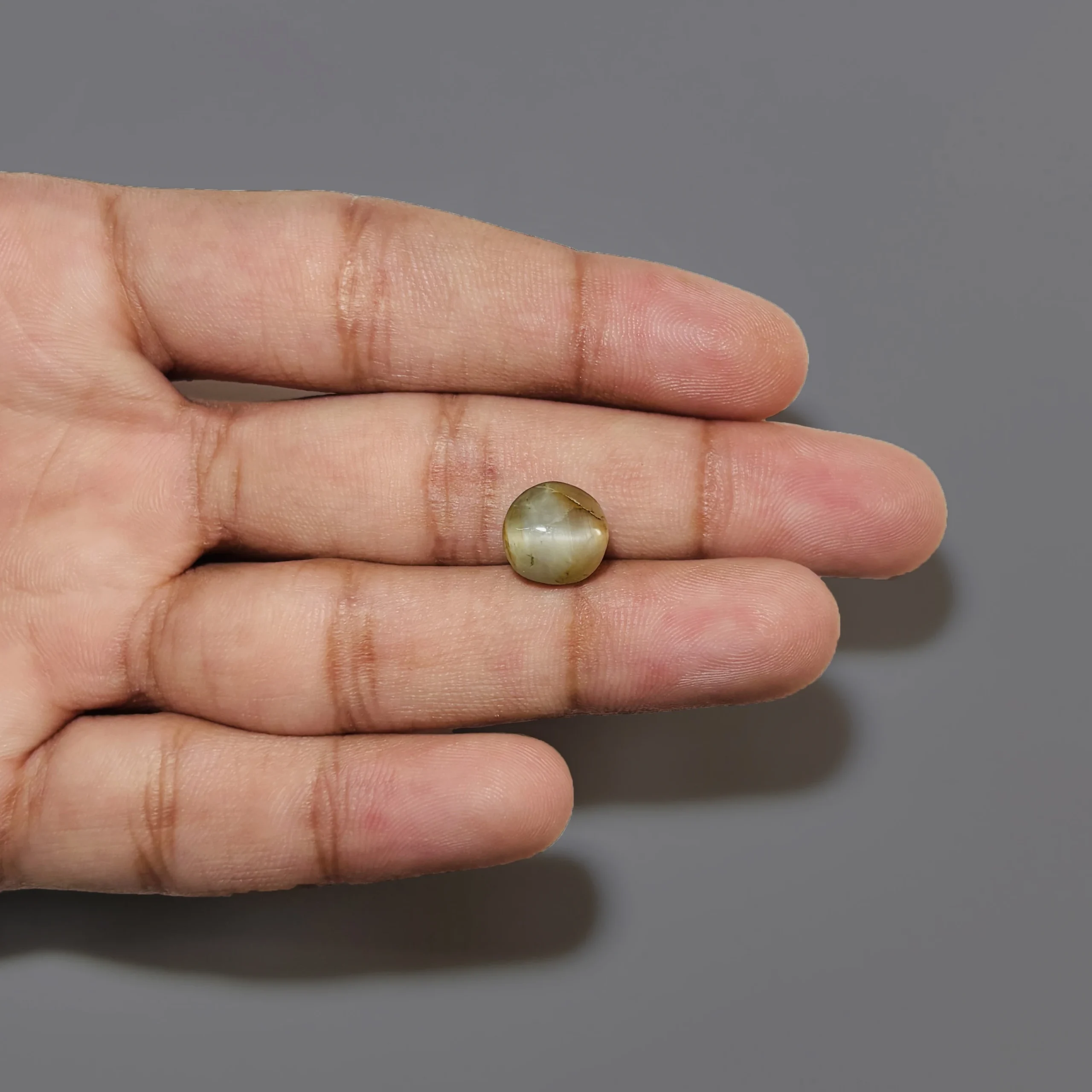 gemsagar Cat Eye (Lehsunia) secondary