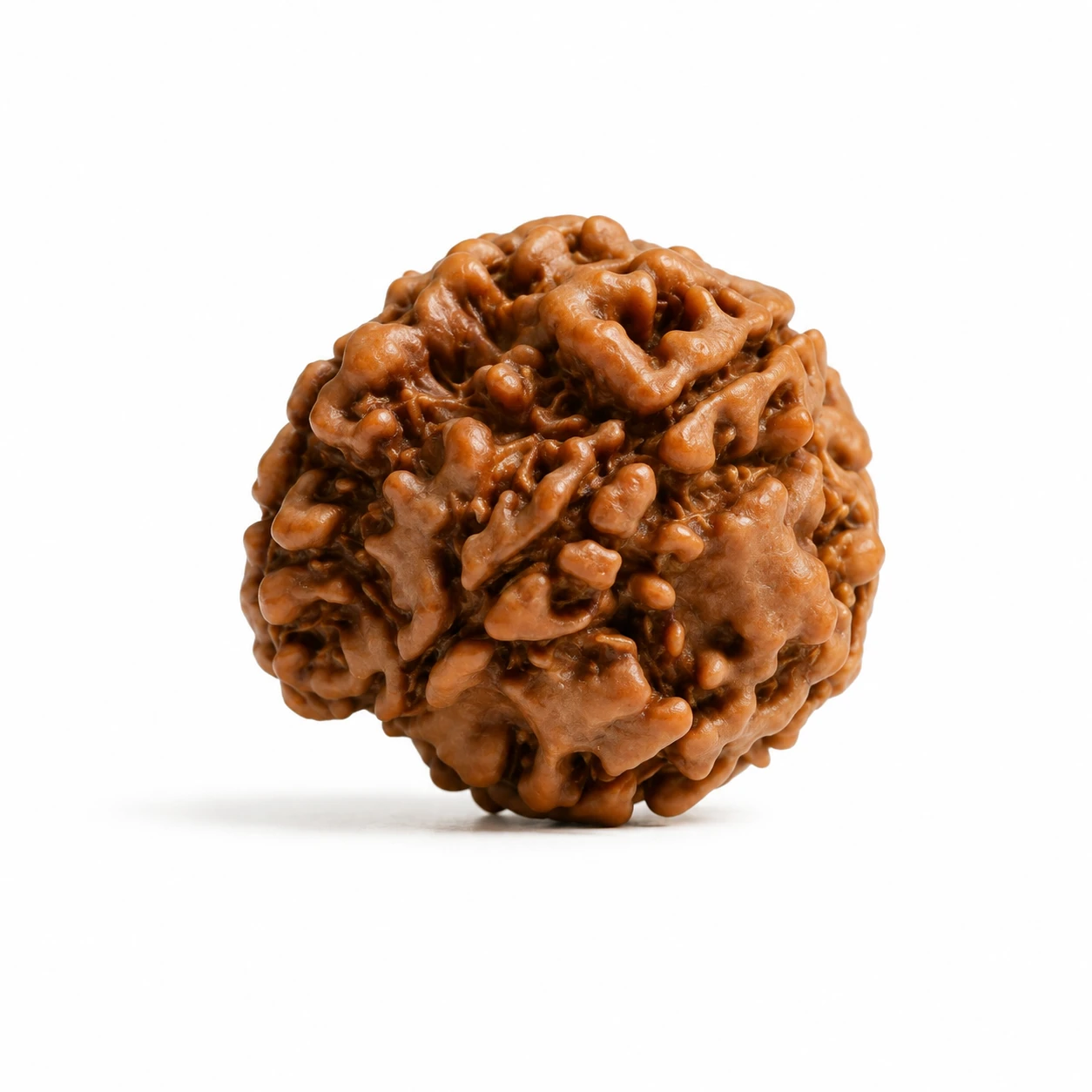Ganesh Rudraksha bracelet wealth happiness