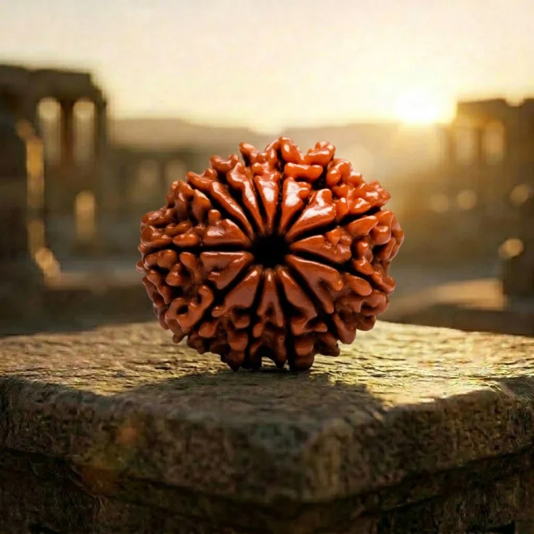 Natural 12 Mukhi Rudraksha background