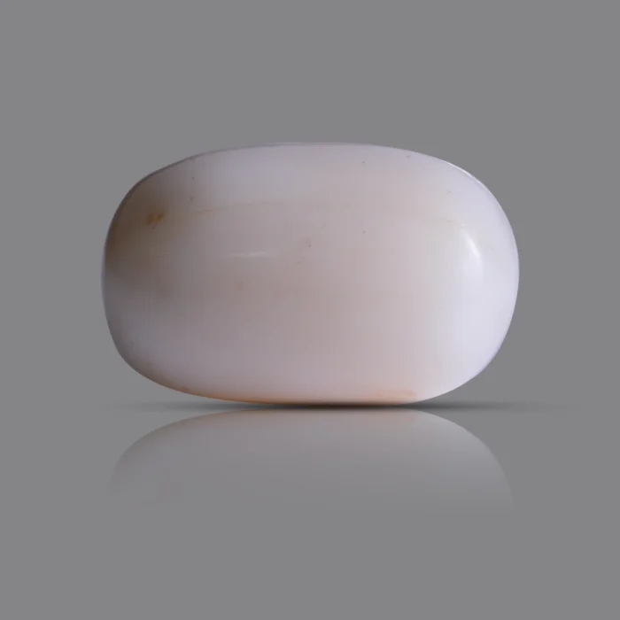 Natural Moonga Stone 16.35 Ct | Certified White Coral