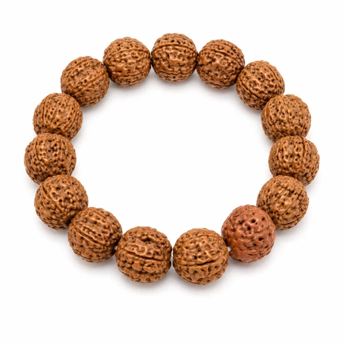 Original Natural Rudraksha Bracelet | Lab Certified