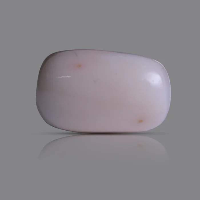 Natural Moonga Stone 13.95 Ct | Certified White Coral