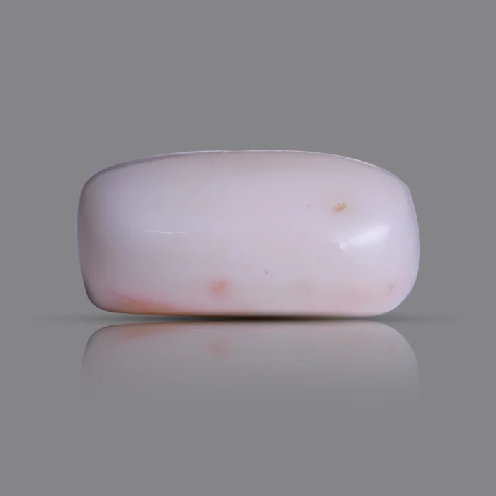 Natural Moonga Stone 13.95 Ct | Certified White Coral